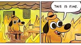 EVERYTHING IS FINE